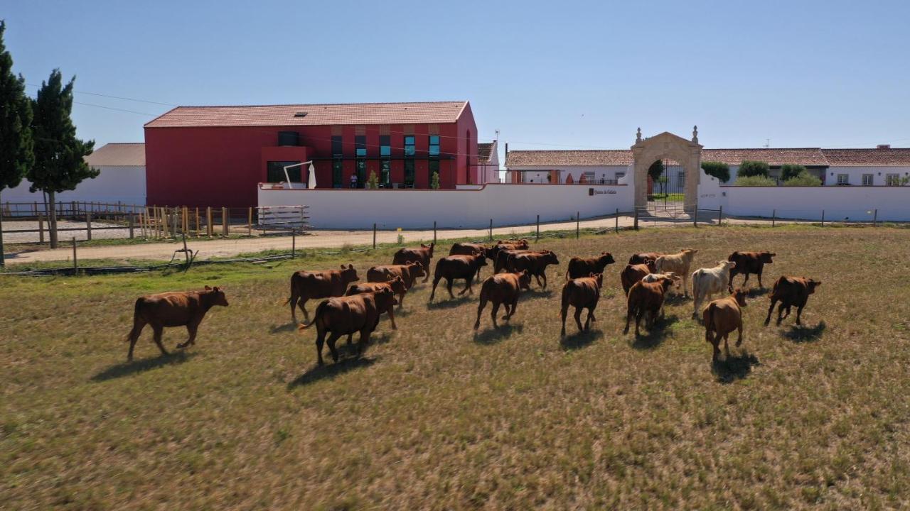 Quinta Da Gafaria Villa Santarém Exterior photo